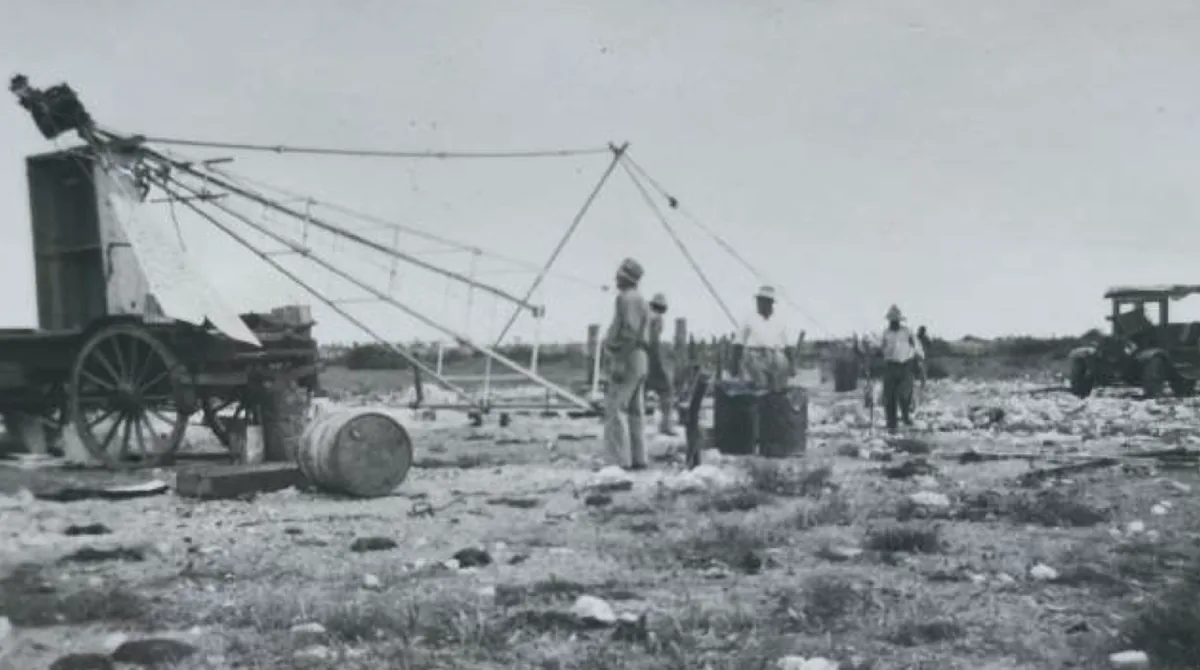 Windmill and ox wagon