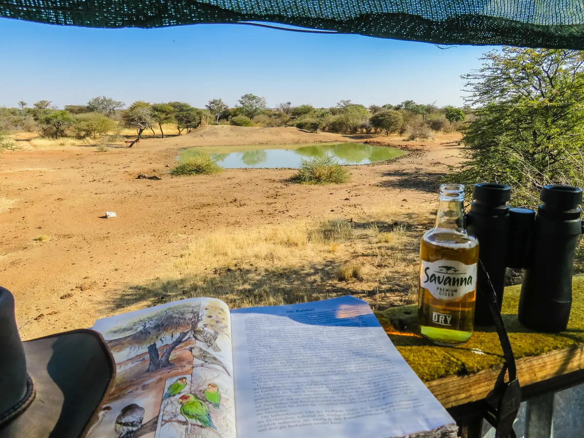 Waterhole birdwatching